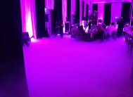 Rental FX LSG Used In Wedding Reception